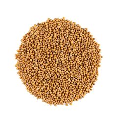 309215S Yellow Mustard Seeds (Centaur)