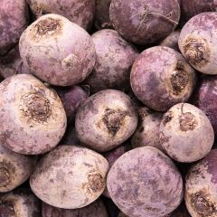 500216C Beetroot (fresh)