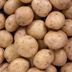 500420C Washed Potatoes