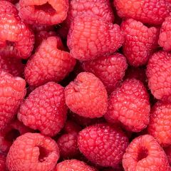 500205C Raspberries (fresh)