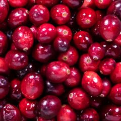 500176C Cranberries (fresh)
