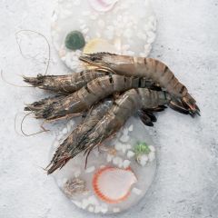 FISH064 Black Tiger Prawns 8/12