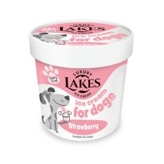 Strawberry Ice Cream for Dogs (Lakes)