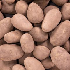 500243C Potatoes (all purpose) (fresh)