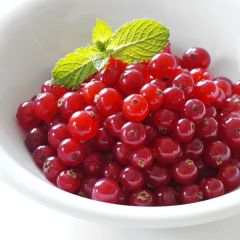 200114S Redcurrants (Ardo)