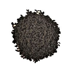 309328S Black Onion Seeds (Centaur)