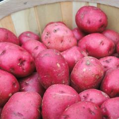 500503C Potatoes - Red Skin (fresh)