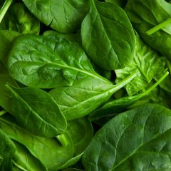 500154C Spinach (fresh)