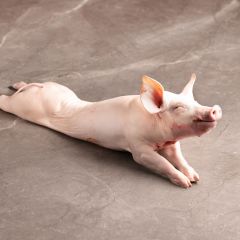 1000055 Whole Pig