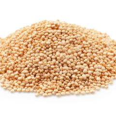 308358C Quinoa Centaur