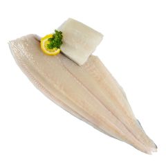 FISH054 Halibut Fillet Portions 200/250g