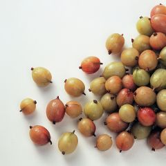 200111S Gooseberries (Ardo)