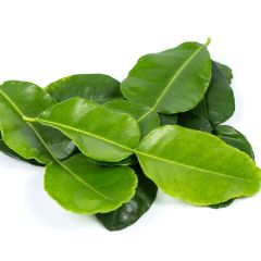 308547C Lime Leaves (Centaur)