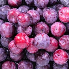 500057C Plums (fresh)